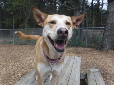 Nutty Nymeria