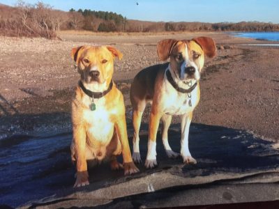 Mason & Charlie Bring The Fun!